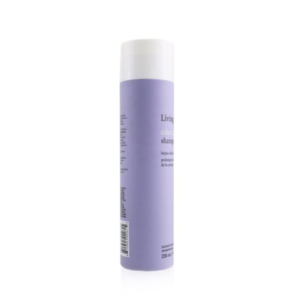 Color Care Shampoo - Image 2